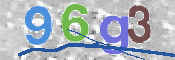 CAPTCHA (Şahıs Denetim Kodu) Resmi