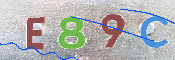 CAPTCHA (Şahıs Denetim Kodu) Resmi