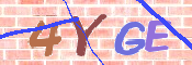 CAPTCHA (Şahıs Denetim Kodu) Resmi
