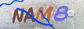 CAPTCHA (Şahıs Denetim Kodu) Resmi