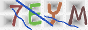CAPTCHA (Şahıs Denetim Kodu) Resmi