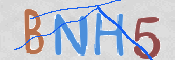 CAPTCHA (Şahıs Denetim Kodu) Resmi