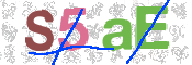 CAPTCHA (Şahıs Denetim Kodu) Resmi