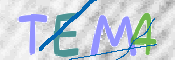 CAPTCHA (Şahıs Denetim Kodu) Resmi