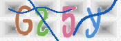 CAPTCHA (Şahıs Denetim Kodu) Resmi