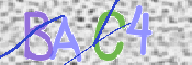 CAPTCHA (Şahıs Denetim Kodu) Resmi