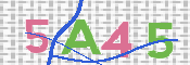 CAPTCHA (Şahıs Denetim Kodu) Resmi