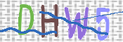 CAPTCHA (Şahıs Denetim Kodu) Resmi