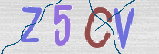 CAPTCHA (Şahıs Denetim Kodu) Resmi