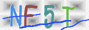 CAPTCHA (Şahıs Denetim Kodu) Resmi
