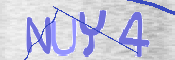 CAPTCHA (Şahıs Denetim Kodu) Resmi