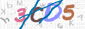 CAPTCHA (Şahıs Denetim Kodu) Resmi