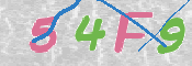 CAPTCHA (Şahıs Denetim Kodu) Resmi