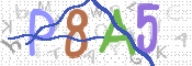 CAPTCHA (Şahıs Denetim Kodu) Resmi