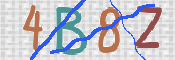 CAPTCHA (Şahıs Denetim Kodu) Resmi