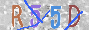 CAPTCHA (Şahıs Denetim Kodu) Resmi