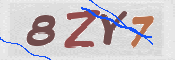 CAPTCHA (Şahıs Denetim Kodu) Resmi