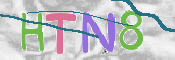CAPTCHA (Şahıs Denetim Kodu) Resmi