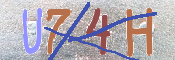 CAPTCHA (Şahıs Denetim Kodu) Resmi