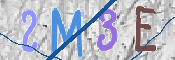 CAPTCHA (Şahıs Denetim Kodu) Resmi