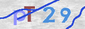 CAPTCHA (Şahıs Denetim Kodu) Resmi