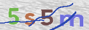 CAPTCHA (Şahıs Denetim Kodu) Resmi