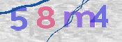 CAPTCHA (Şahıs Denetim Kodu) Resmi
