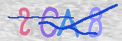 CAPTCHA (Şahıs Denetim Kodu) Resmi