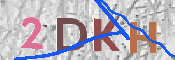 CAPTCHA (Şahıs Denetim Kodu) Resmi