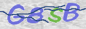 CAPTCHA (Şahıs Denetim Kodu) Resmi