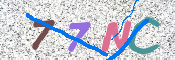 CAPTCHA (Şahıs Denetim Kodu) Resmi