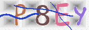 CAPTCHA (Şahıs Denetim Kodu) Resmi