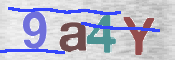 CAPTCHA (Şahıs Denetim Kodu) Resmi