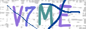 CAPTCHA (Şahıs Denetim Kodu) Resmi