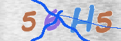CAPTCHA (Şahıs Denetim Kodu) Resmi