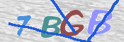 CAPTCHA (Şahıs Denetim Kodu) Resmi
