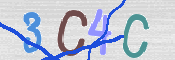 CAPTCHA (Şahıs Denetim Kodu) Resmi