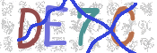 CAPTCHA (Şahıs Denetim Kodu) Resmi