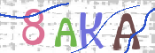 CAPTCHA (Şahıs Denetim Kodu) Resmi