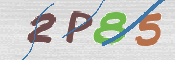 CAPTCHA (Şahıs Denetim Kodu) Resmi