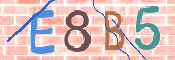 CAPTCHA (Şahıs Denetim Kodu) Resmi
