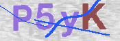 CAPTCHA (Şahıs Denetim Kodu) Resmi