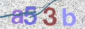 CAPTCHA (Şahıs Denetim Kodu) Resmi