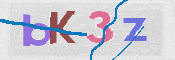 CAPTCHA (Şahıs Denetim Kodu) Resmi