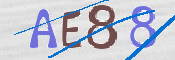 CAPTCHA (Şahıs Denetim Kodu) Resmi