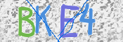 CAPTCHA (Şahıs Denetim Kodu) Resmi