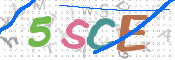 CAPTCHA (Şahıs Denetim Kodu) Resmi
