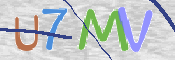 CAPTCHA (Şahıs Denetim Kodu) Resmi