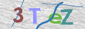 CAPTCHA (Şahıs Denetim Kodu) Resmi