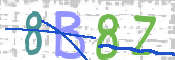 CAPTCHA (Şahıs Denetim Kodu) Resmi
